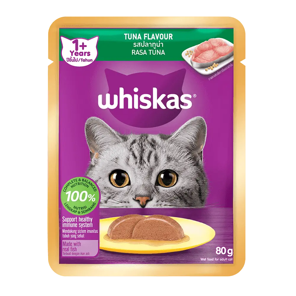 cat food